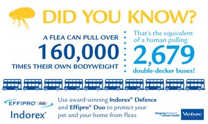 indorex flea spray